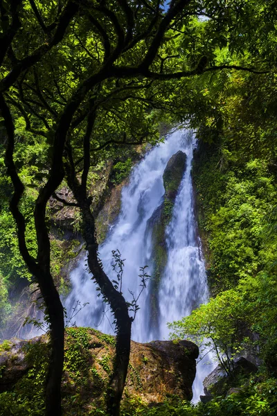 Tam Νανγκ Καταρράκτη Takua Εθνικό Πάρκο Του Δάσους Τροπική Ζώνη — Φωτογραφία Αρχείου