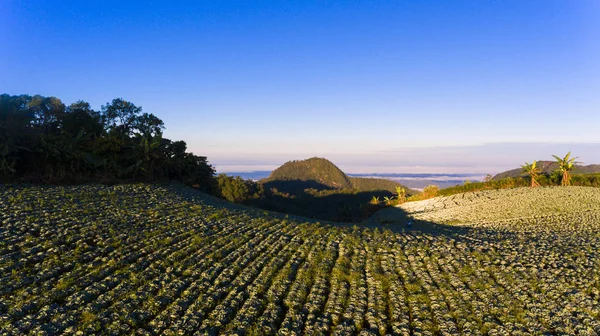 Vegetatie Van Landbouwgrond Heuvels Van Noord Thailand — Stockfoto