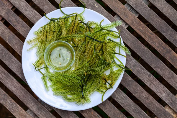 Mazzo Alghe Sembra Mazzo Grani Piccoli Simile Grappolo Uva Verde — Foto Stock