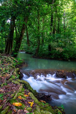 Peyzaj Şelalesi Bok Khorani. Yağmur mevsiminde renkli orman, yağmur mevsiminde renkli orman yağmur mevsiminde su yağar zümrüt su deresi