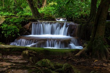 Peyzaj Şelalesi Bok Khorani. Yağmur mevsiminde renkli orman, yağmur mevsiminde renkli orman yağmur mevsiminde su yağar zümrüt su deresi