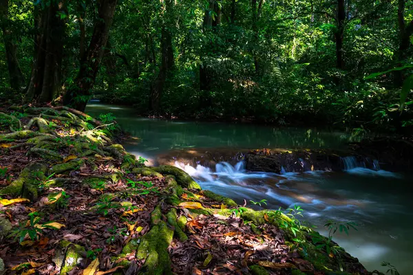 Peyzaj Şelalesi Bok Khorani. Yağmur mevsiminde renkli orman, yağmur mevsiminde renkli orman yağmur mevsiminde su yağar zümrüt su deresi
