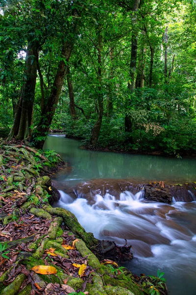Peyzaj Şelalesi Bok Khorani. Yağmur mevsiminde renkli orman, yağmur mevsiminde renkli orman yağmur mevsiminde su yağar zümrüt su deresi