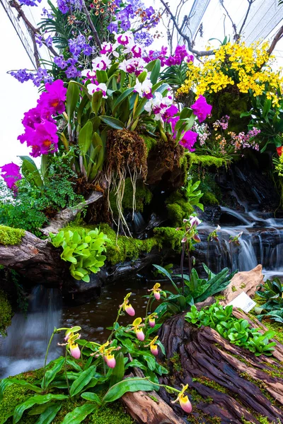 瀑布落在花园 兰花花园 美丽的花园美丽的花园 — 图库照片