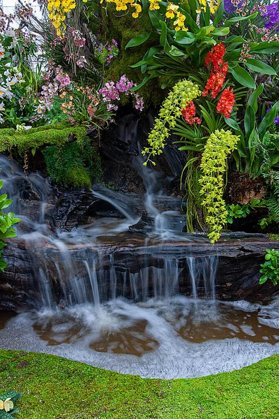 瀑布落在花园 兰花花园 美丽的花园美丽的花园 — 图库照片