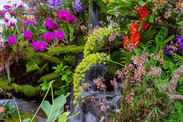 정원의 아름다운 아름다운 — 스톡 사진