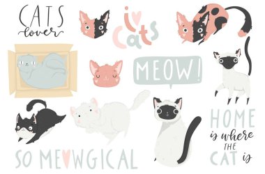 Farklı kedi cinsleri ve el çizimleri olan sevimli kedi vektör çizimi.