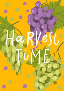 Vektör sonbahar dikişleri desen beyaz arka plan üzerinde sebze, meyve ve yaprakları ile doodle tarzında. Nazik, sonbahar arka plan. 