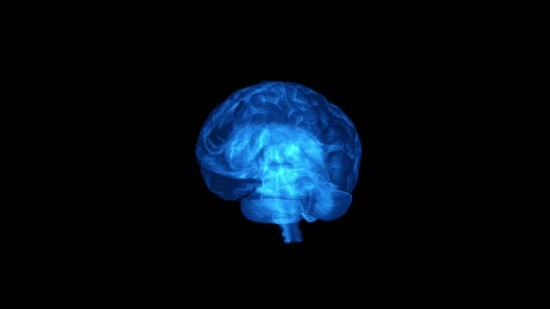 Transparent Illuminated Digital Blue Brain Turning Itself 360 Degrees Alpha — Stock Video