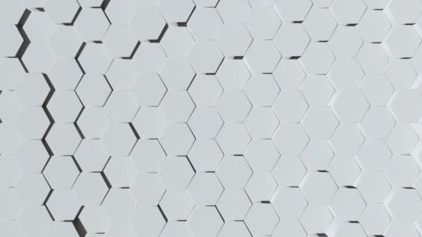 Loop Vit Animerad Teknik Honeycomb Med Hexagoner Som Dyker Och — Stockvideo