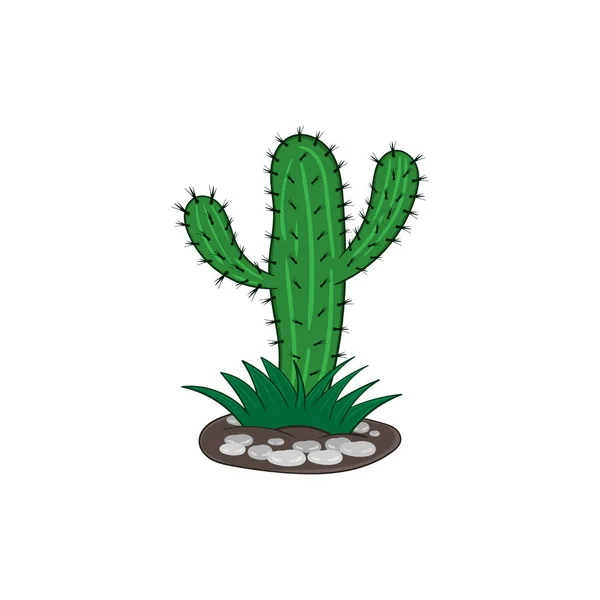 Kaktus. Isolerad illustration på en vit bakgrund i tecknad stil. Design element. — Stock vektor