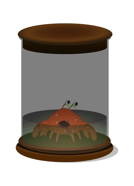 Glaslaborbehälter zur Aufbewahrung experimenteller Proben mit einer Krabbe im Inneren. Vektorillustration. isoliert auf weißem Hintergrund. — Stockvektor