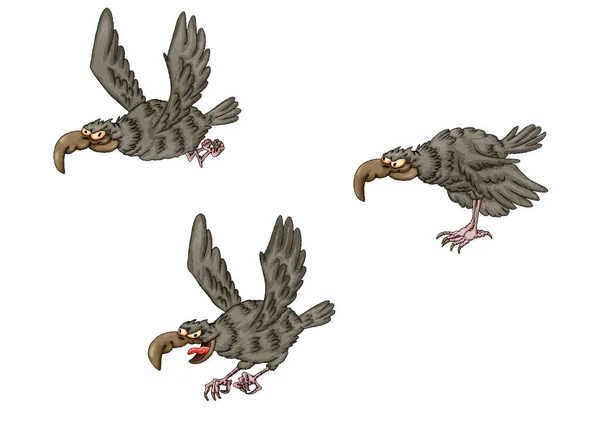 Cartoon Eagle Set Eagles Different Poses — Stock Photo, Image