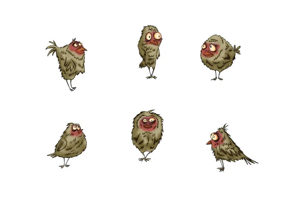 Jogo Pardais Pássaros Variações Diferentes Para Desenho Fundo Branco — Fotografia de Stock