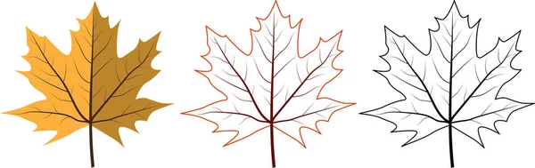 Feuilles d'érable d'automne — Image vectorielle