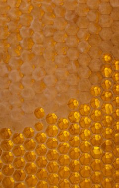 Bal peteği arka planı. Taze bal. Doğal organik arı ürünü. Sağlıklı bir yaşam tarzı. Yakın plan fotoğraf..