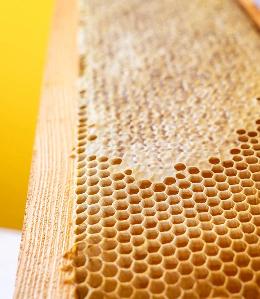 ハニカムのフレーム。新鮮な蜂蜜だ。天然の有機蜂製品。健康的なライフスタイル。クローズアップ写真. — ストック写真