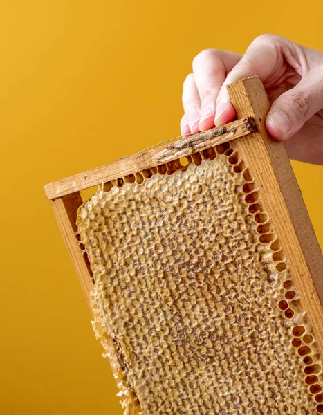 養蜂家は、ハニカムのフレームを保持しています。新鮮な蜂蜜だ。天然の有機蜂製品。健康的なライフスタイル。クローズアップ写真. — ストック写真