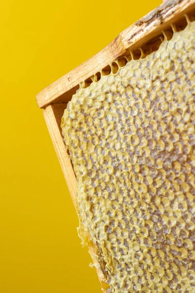 ハニカムのフレーム 新鮮な蜂蜜だ 天然の有機蜂製品 健康的なライフスタイル クローズアップ写真 高品質の写真 — ストック写真