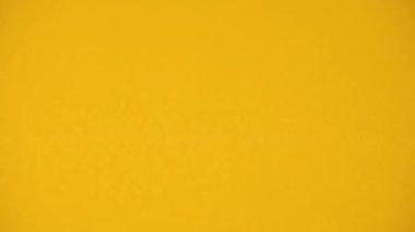 Renkli ataçlar sarı masaya düşer. Okul malzemeleri. ataçlar kapanıyor.