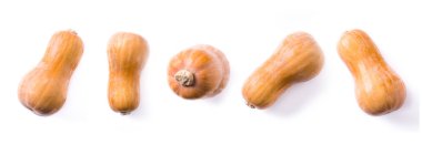 Farklı görünümlerden balkabağı. Panorama görünüm