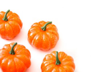 Kabak desen beyaz arka plan üzerinde izole. Üstten görünüm. Boşaltmak