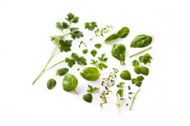Beyaz arka plan üzerinde izole Yeşil taze aromatik otlar desen. Üstten görünüm.