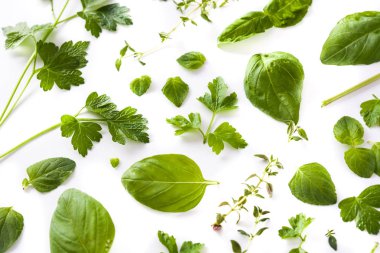 Beyaz arka plan üzerinde izole Yeşil taze aromatik otlar desen. Üstten görünüm.