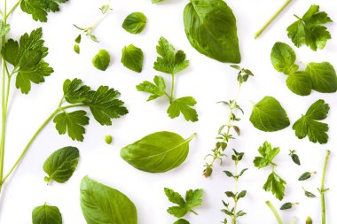 Beyaz arka plan üzerinde izole Yeşil taze aromatik otlar desen. Üstten görünüm.