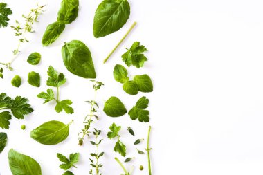Beyaz arka plan üzerinde izole Yeşil taze aromatik otlar desen. Üstten görünüm. Boşaltmak