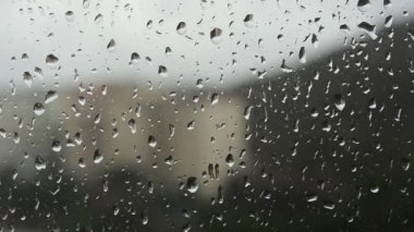 Izgara karides görüntüleri beyaz arka plan üzerinde çember