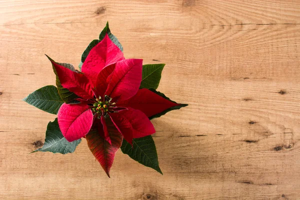 Kerst Poinsettia Flower Houten Tafel Bovenaanzicht Copyspace — Stockfoto