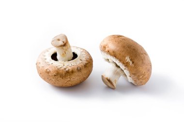 Beyaz arkaplanda izole edilmiş mantarlar