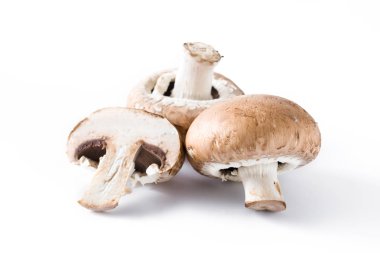 Beyaz arka plan üzerinde izole mantar. Yakın çekim