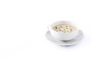 Beyaz arka planda izole edilmiş geleneksel Fransız vichyssoise çorbası. Copyspace