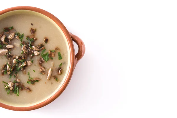 Hausgemachte Pilzsuppe Isoliert Auf Weißem Hintergrund Kopierraum — Stockfoto