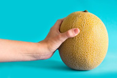 Kavun sarısı kavun meyvesi mavi arka planda.