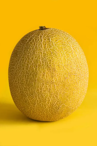 Cantaloupe yellow melon fruit on yellow background