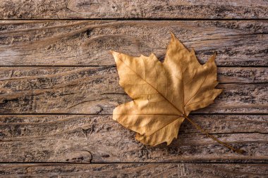 Ahşap arka planda sonbahar yaprağı. Üst görünüm