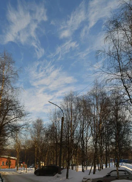 Chmura Pierzasta Chmury Niebie Niebieski Wiosna — Zdjęcie stockowe