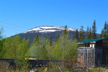 Dağ ve ormanlı manzara