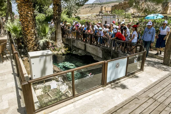 Pamukkale Turkey June 2018 Vacationers Kazanıyor Vardır Termal Pamukkale Kleopatra — Stok fotoğraf