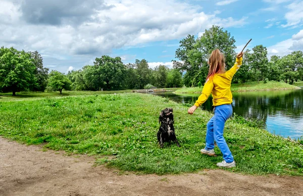 Girl Throws Stick Dog Park Sunny Summer Day — Stock Photo, Image