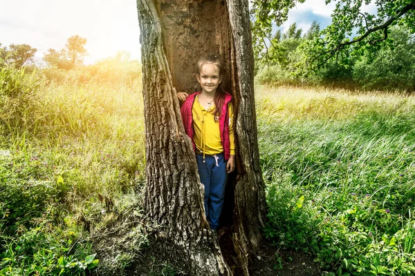 Girl Poses Hollow Large Tree Park Sunny Summer Day — Stock Photo, Image