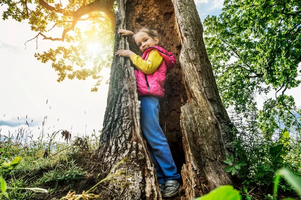 Girl Poses Hollow Large Tree Park Sunny Summer Day — Stock Photo, Image