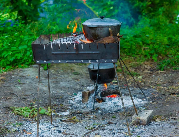 fish soup cooking in a pot on a fire in the forest