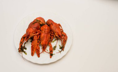 Bir tabak dereotu üzerinde bir sürü haşlanmış kırmızı kerevit. Yakından kapatın. Makro modu. Lezzetli deniz ürünleri gıda. .