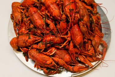 Bir tabak dereotu üzerinde bir sürü haşlanmış kırmızı kerevit. Yakından kapatın. Makro modu. Lezzetli deniz ürünleri gıda. .