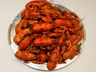 Bir tabak dereotu üzerinde bir sürü haşlanmış kırmızı kerevit. Yakından kapatın. Makro modu. Lezzetli deniz ürünleri gıda. .