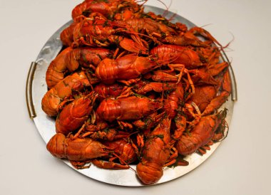 Bir tabak dereotu üzerinde bir sürü haşlanmış kırmızı kerevit. Yakından kapatın. Makro modu. Lezzetli deniz ürünleri gıda. .